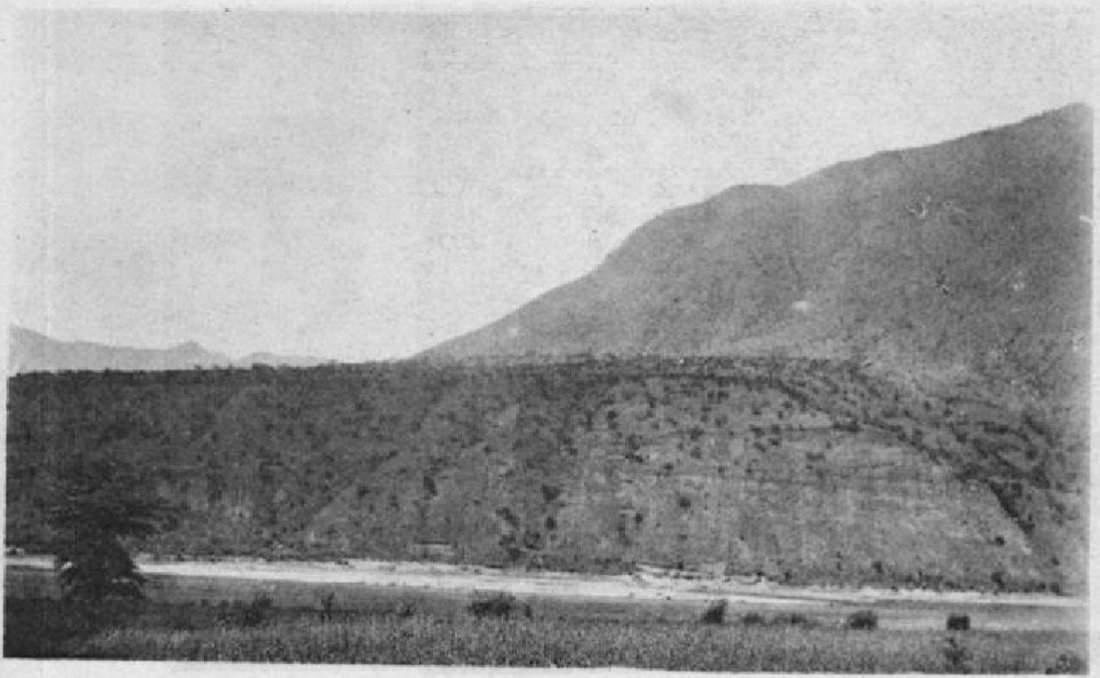Black and white photograph of a desert landscape