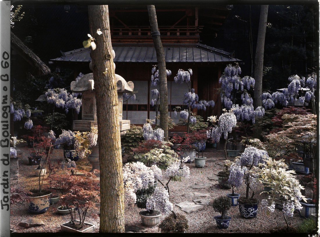 Photographie en couleur du jardin japonais d'Albert Kahn